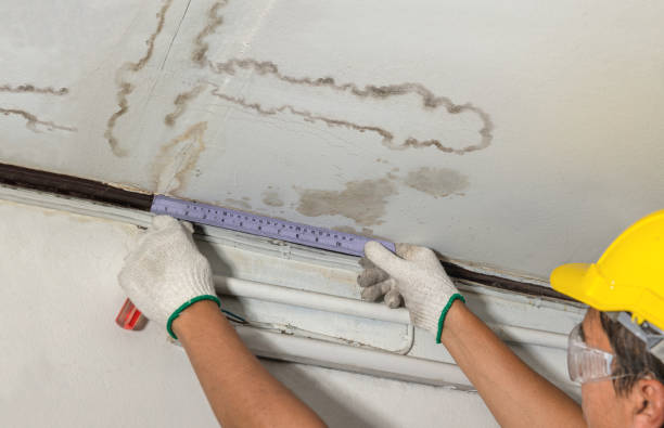 Reliable Mold Remediation contractor in Hampton, NH by Water Damage Irwin